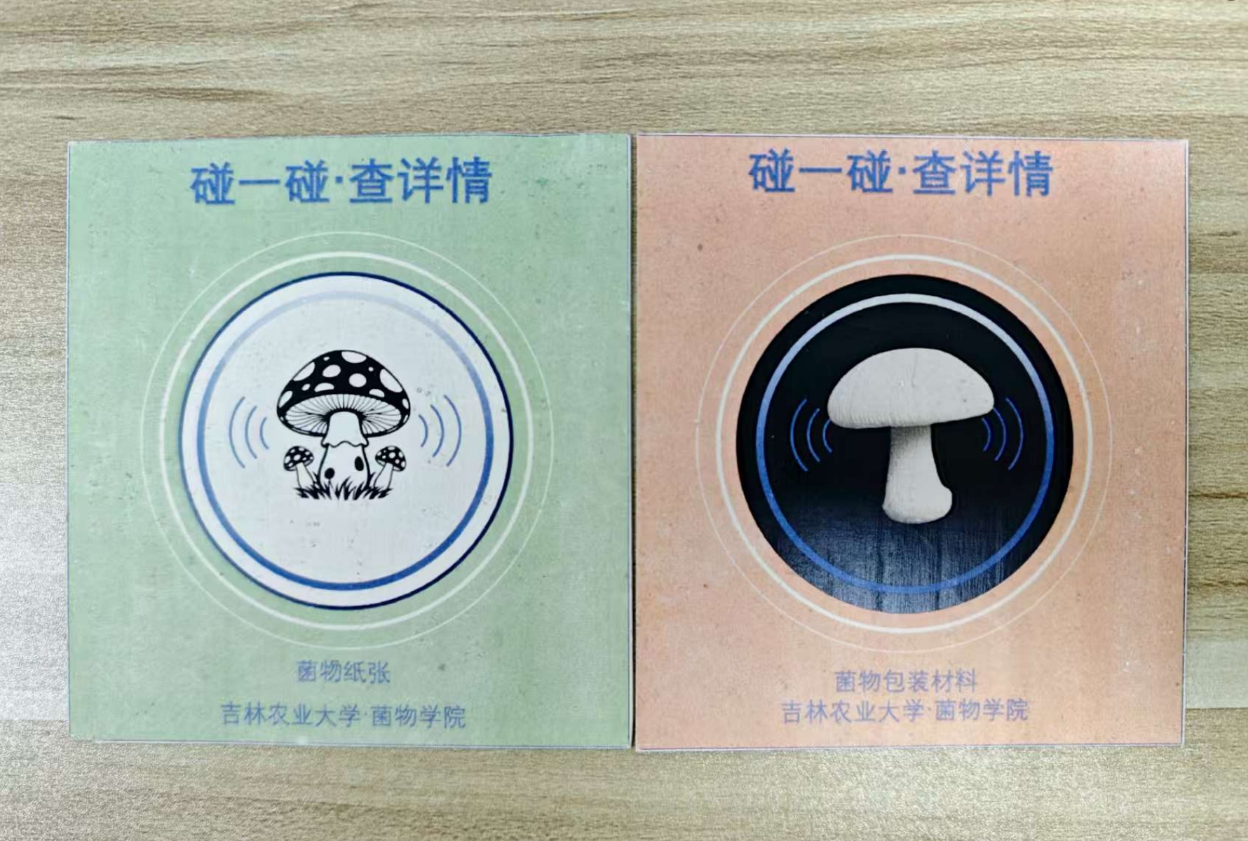 RFID菌丝纸芯片卡